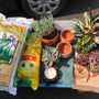 Green Thumb Nursery