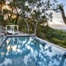 Backyard Visions