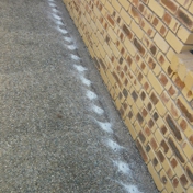 Gallery Image Number 4