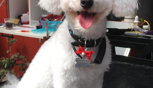 Superb Dog Grooming - Wheelers Hill, VIC