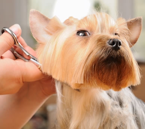 Mobile Dog Grooming of Simi Valley Thousand Oaks - Simi Valley, CA