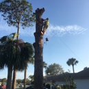 Flagler Land Management LLC - Tree Service