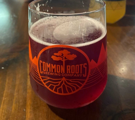 Common Roots Brewing Co - South Glens Falls, NY