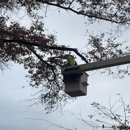 Haymaker Tree And Lawn - Tree Service