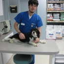 VCA Peachtree Animal Hospital - Veterinarians