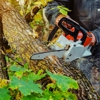 Pereira's Tree Services Inc gallery