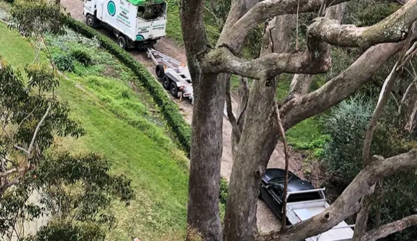 All Scale Tree Services - Mittagong, NSW