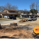 Texas Treehouse Tree Service & Stump Grinding - Tree Service