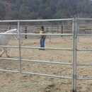Lifesavers Wild Horse - Animal Shelters