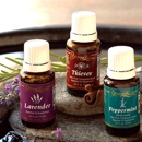 Essential Oil Living - Health & Wellness Products