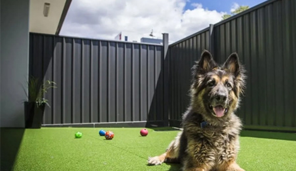 PetFocus Vetcare - Lavington, NSW