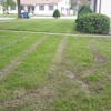 Daniel Boone's Lawn Care gallery