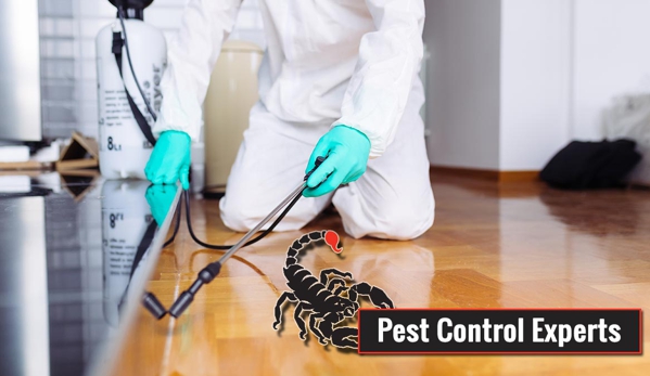 Scorpion Pest Management Pty Ltd - Glenorchy, TAS. Tasmanian Owned & Operated Servicing Statewide