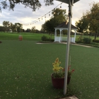 Haggin Oaks Golf Course -Alister MacKenzie