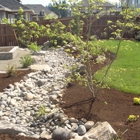Bloomica Landscaping