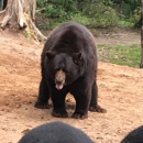 Oswald's Bear Ranch - Ranches