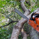 Flatirons Arbor Care - Tree Service
