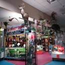 CURIOSITY SHOP UNIQUE AND REAL