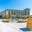 The Apartment Collection at Bay Meadows - Apartment Finder & Rental Service