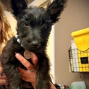 Broadmoor East Veterinary Clinic