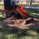 Matt's Stump Grinding - Christmas Trees