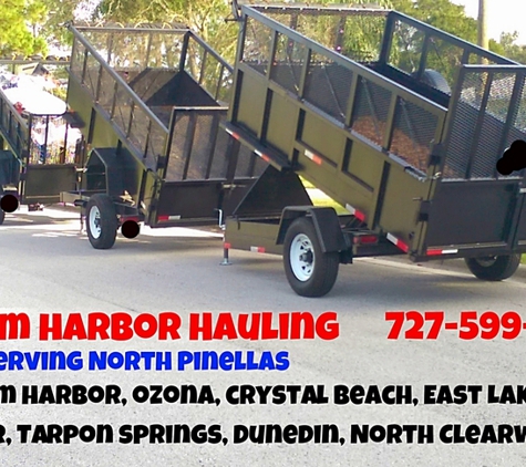 Palm Harbor Hauling - Palm Harbor, FL