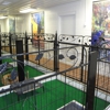 Bokhara Pet Care Centers gallery