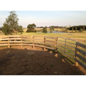 Gallery Image Number 1