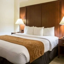 Comfort Suites Cumming-Atlanta near Northside Hospital Forsyth