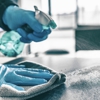 Green Elephant Carpet Cleaning gallery