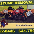 Eager Beaver Stump & Snow Removal Service - Stump Removal & Grinding