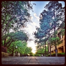 University TX at Arlington Dept of Philosophy & Humanities - Nursing Schools