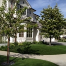 Creative Landscapes Tree Care