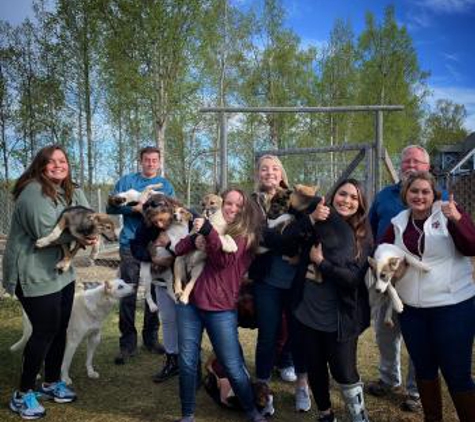 Alaskan Husky Adventures - Willow, AK