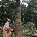 Gold Tooth Gorilla Tree Service - Tree Service