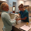 LazyPaw Animal Hospitals - Veterinary Clinics & Hospitals