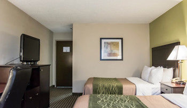 Comfort Inn & Suites St. Pete - Clearwater International Airport - Clearwater, FL