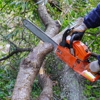 Quality Pro Tree Service & Removal gallery