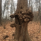 Madison Heights Nature Center