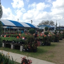 Houston P & G World - Nurseries-Plants & Trees