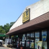 Busy Bee - Shell gallery