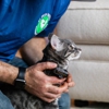 My Pets Safety gallery