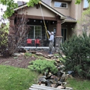 EnviroPest - Pest Control Services