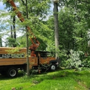A Plus Tree Care - Arborists