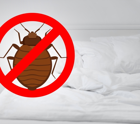 Houston Bed Bug Heat Treatment - Jersey Village, TX