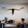 Prime Life Wellness & Health gallery