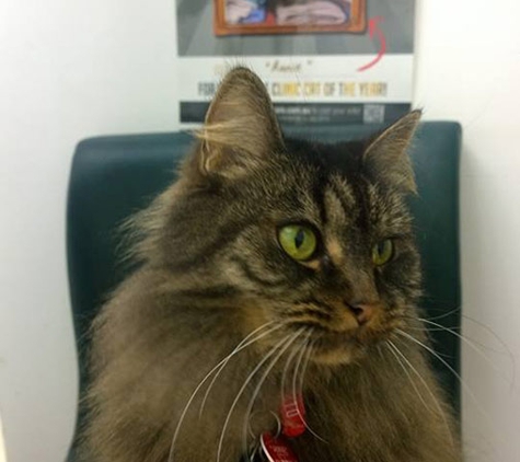 Burvale Heights Vet Hospital - Forest Hill, VIC