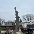 Duck's Tree and Stump Service - Tree Service
