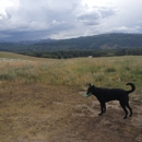 Rancho Alegre Lodge - Lodging