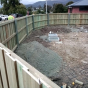 Gallery Image Number 6